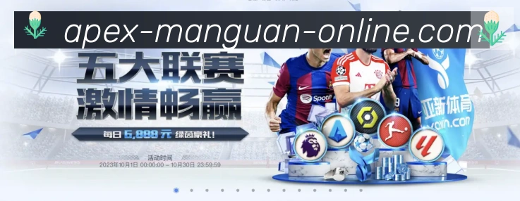 App界面